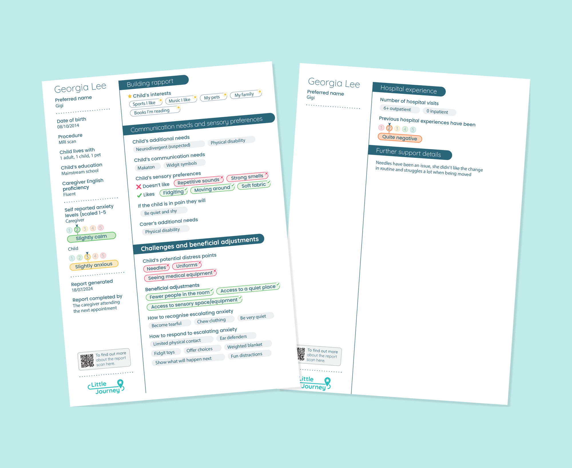 Sample A Little About Me care profile report Sample A Little About Me care profile report